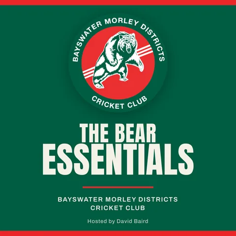 The Bear Essentials cover art
